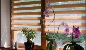 Top Trends in Blinds for 2024